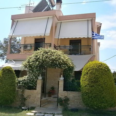 Sofia'S Villa 尼基季 外观 照片